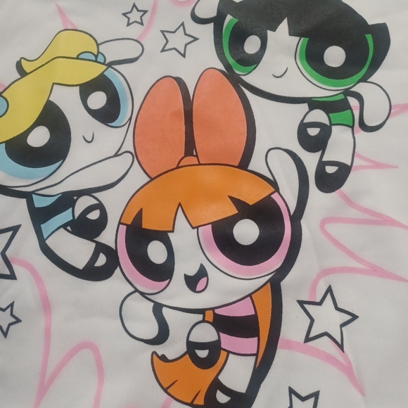 Powerpuff Girls Cartoon Network Cropped Hoodie Sweatshirt Junior size L - Picture 4 of 9